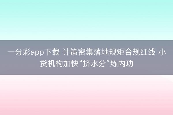 一分彩app下载 计策密集落地规矩合规红线 小贷机构加快“挤水分”练内功