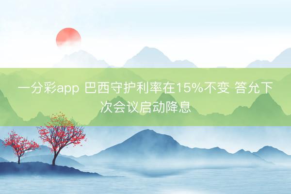 一分彩app 巴西守护利率在15%不变 答允下次会议启动降息