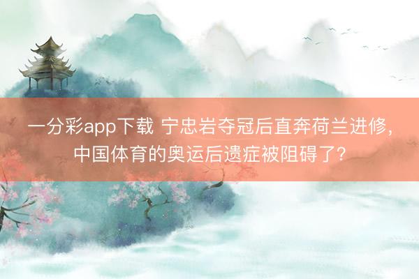 一分彩app下载 宁忠岩夺冠后直奔荷兰进修,中国体育的奥运后遗症被阻碍了?