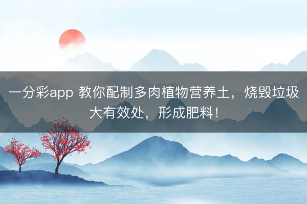 一分彩app 教你配制多肉植物营养土，烧毁垃圾大有效处，形成肥料！