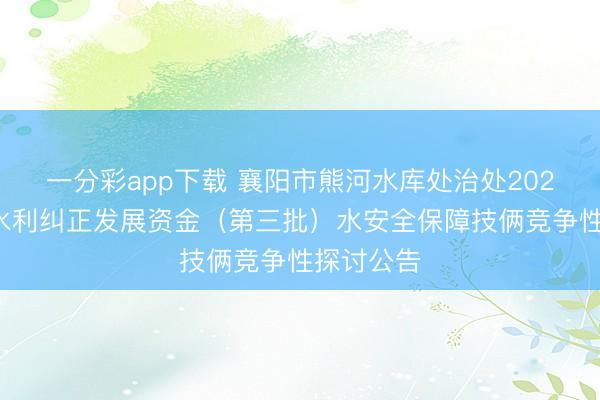 一分彩app下载 襄阳市熊河水库处治处2025年省级水利纠正发展资金（第三批）水安全保障技俩竞争性探讨公告