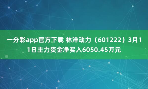一分彩app官方下载 林洋动力（601222）3月11日主力资金净买入6050.45万元