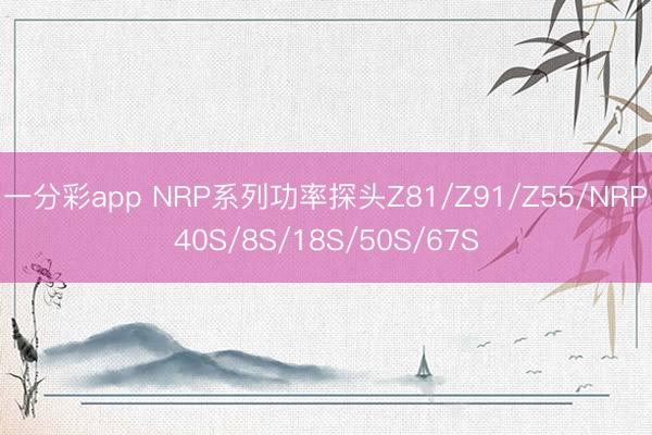 一分彩app NRP系列功率探头Z81/Z91/Z55/NRP40S/8S/18S/50S/67S