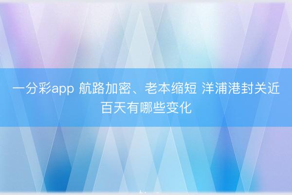 一分彩app 航路加密、老本缩短 洋浦港封关近百天有哪些变化