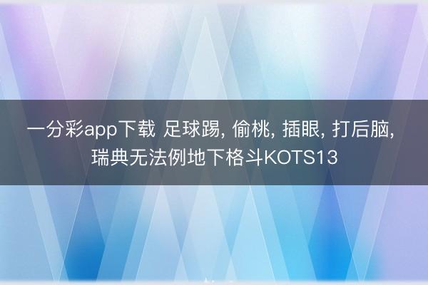 一分彩app下载 足球踢, 偷桃, 插眼, 打后脑, 瑞典无法例地下格斗KOTS13
