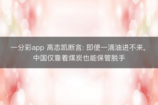 一分彩app 高志凯断言: 即使一滴油进不来, 中国仅靠着煤炭也能保管脱手