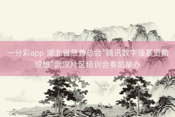 一分彩app 湖北省慈善总会“腾讯数字强基资助设想”武汉片区培训会奏凯举办