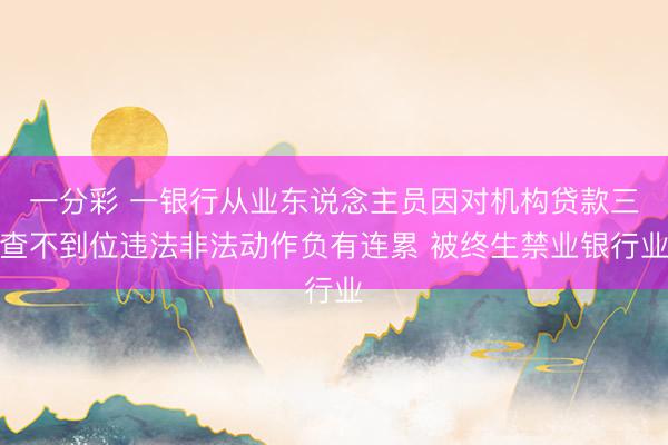 一分彩 一银行从业东说念主员因对机构贷款三查不到位违法非法动作负有连累 被终生禁业银行业