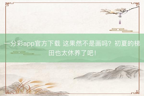 一分彩app官方下载 这果然不是画吗？初夏的梯田也太休养了吧！