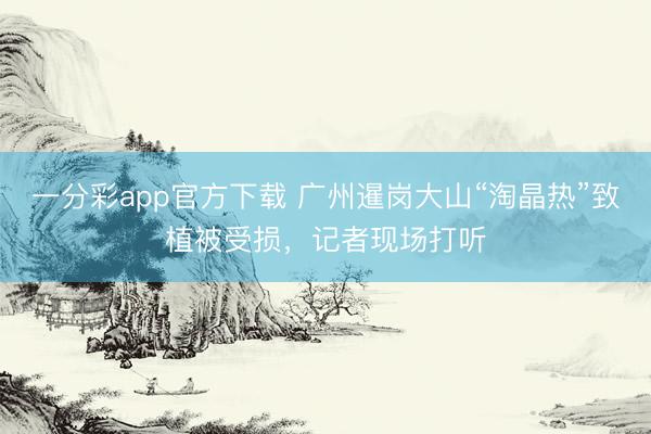 一分彩app官方下载 广州暹岗大山“淘晶热”致植被受损，记者现场打听