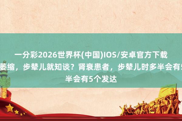 一分彩2026世界杯(中国)IOS/安卓官方下载 肾启动萎缩，步辇儿就知谈？肾衰患者，步辇儿时多半会有5个发达