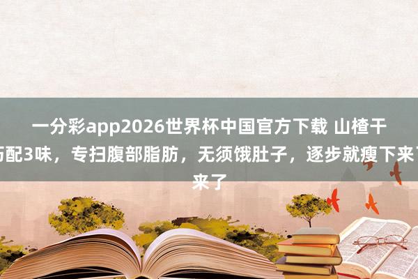 一分彩app2026世界杯中国官方下载 山楂干巧配3味，专扫腹部脂肪，无须饿肚子，逐步就瘦下来了