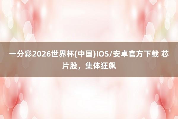 一分彩2026世界杯(中国)IOS/安卓官方下载 芯片股，集体狂飙