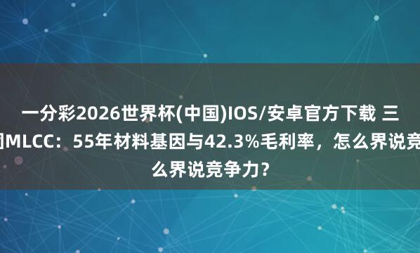 一分彩2026世界杯(中国)IOS/安卓官方下载 三环集团MLCC：55年材料基因与42.3%毛利率，怎么界说竞争力？