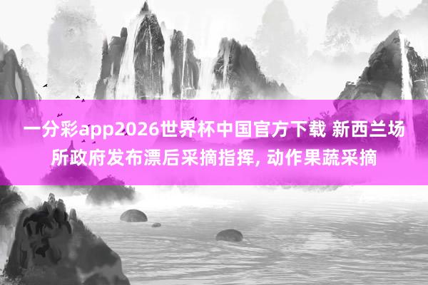 一分彩app2026世界杯中国官方下载 新西兰场所政府发布漂后采摘指挥， 动作果蔬采摘