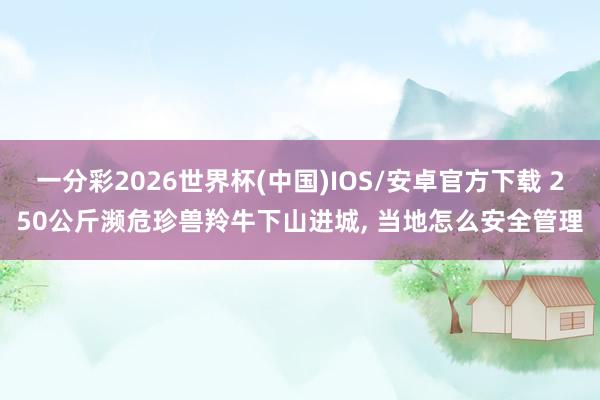 一分彩2026世界杯(中国)IOS/安卓官方下载 250公斤濒危珍兽羚牛下山进城， 当地怎么安全管理