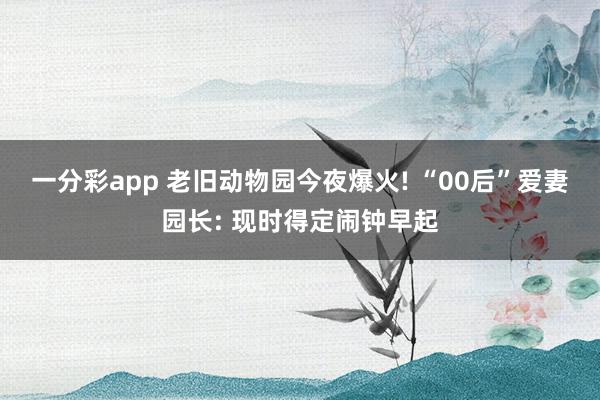 一分彩app 老旧动物园今夜爆火! “00后”爱妻园长: 现时得定闹钟早起