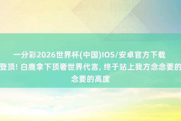 一分彩2026世界杯(中国)IOS/安卓官方下载 破格登顶! 白鹿拿下顶奢世界代言， 终于站上我方念念要的高度