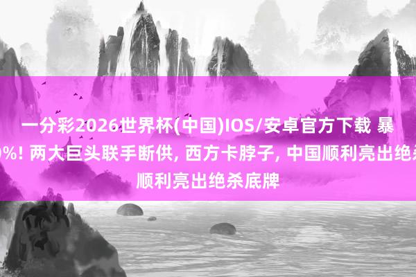 一分彩2026世界杯(中国)IOS/安卓官方下载 暴涨230%! 两大巨头联手断供， 西方卡脖子， 中国顺利亮出绝杀底牌