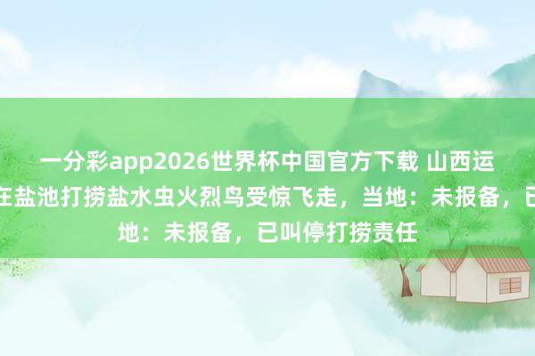 一分彩app2026世界杯中国官方下载 山西运城有工东谈主在盐池打捞盐水虫火烈鸟受惊飞走，当地：未报备，已叫停打捞责任