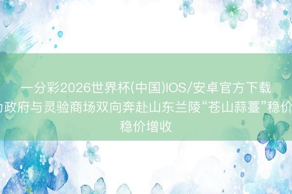 一分彩2026世界杯(中国)IOS/安卓官方下载 有为政府与灵验商场双向奔赴山东兰陵“苍山蒜薹”稳价增收