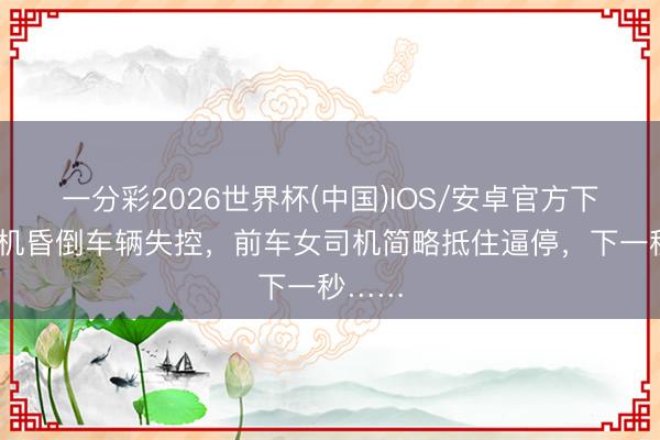 一分彩2026世界杯(中国)IOS/安卓官方下载 司机昏倒车辆失控，前车女司机简略抵住逼停，下一秒……