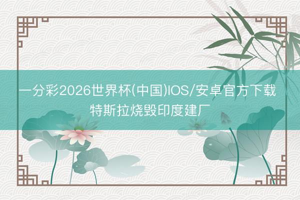一分彩2026世界杯(中国)IOS/安卓官方下载 特斯拉烧毁印度建厂