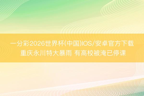 一分彩2026世界杯(中国)IOS/安卓官方下载 重庆永川特大暴雨 有高校被淹已停课