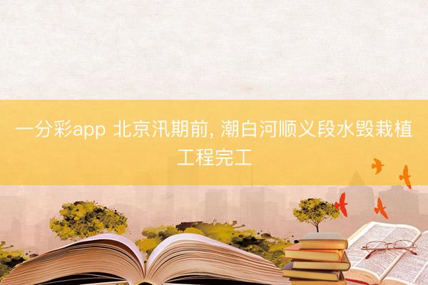 一分彩app 北京汛期前， 潮白河顺义段水毁栽植工程完工