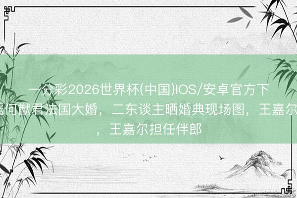 一分彩2026世界杯(中国)IOS/安卓官方下载 奚梦瑶何猷君法国大婚,二东谈主晒婚典现场图,王嘉尔担任伴郎