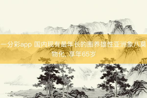 一分彩app 国内现有最年长的圈养雄性亚洲象八莫物化， 享年65岁
