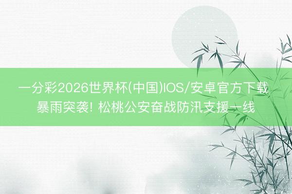 一分彩2026世界杯(中国)IOS/安卓官方下载 暴雨突袭! 松桃公安奋战防汛支援一线