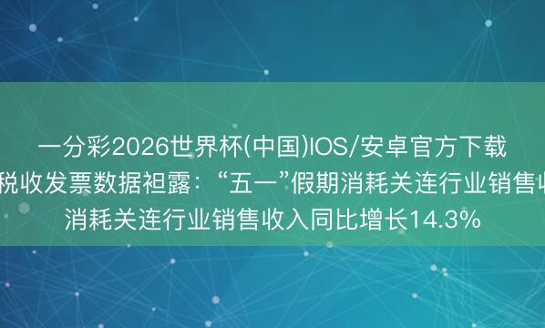 一分彩2026世界杯(中国)IOS/安卓官方下载 新华社巨擘快报｜税收发票数据袒露：“五一”假期消耗关连行业销售收入同比增长14.3%